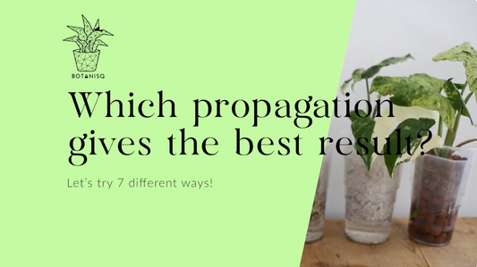 Which propagation gives the best result?