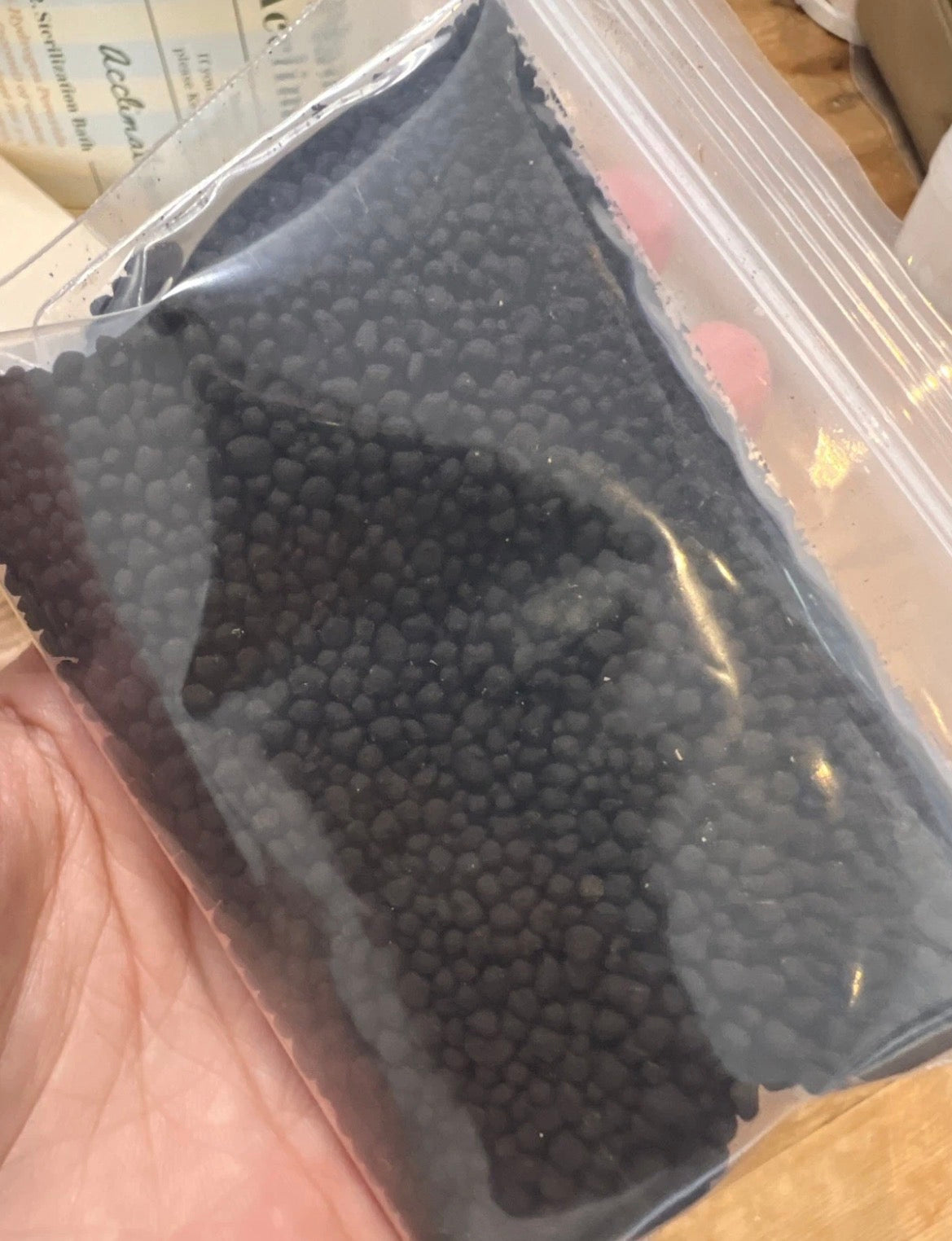 Nook - Your First Tissue Culture Set (3 Anthurium Plants)