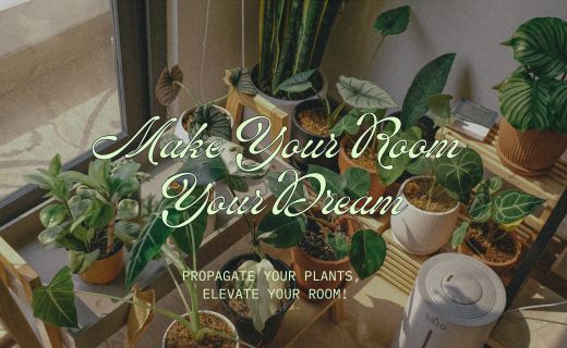 Plant collection on a shelf